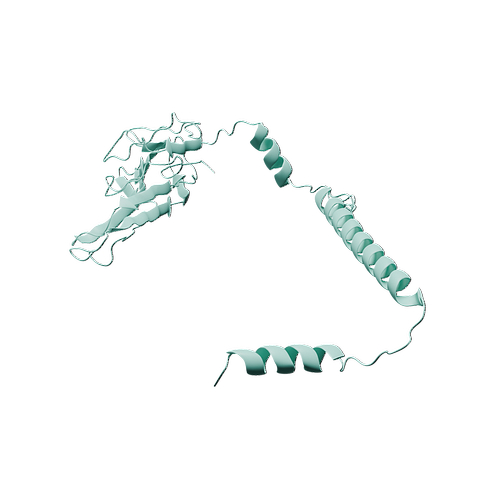 P01375-Human TNF alpha-3d structure.jpg